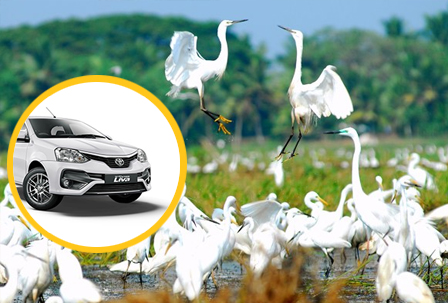Kumarakom Taxi Service